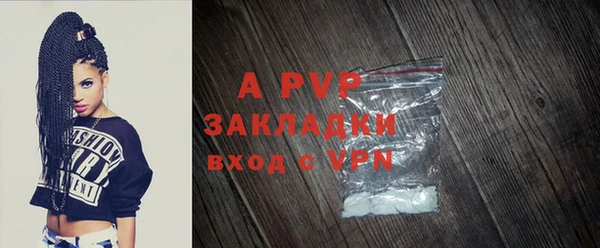 PSILOCYBIN Баксан