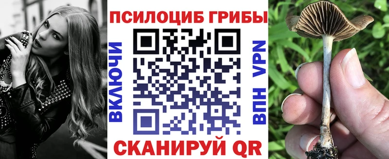 Псилоцибиновые грибы Magic Shrooms  omg зеркало  Ульяновск  закладки 